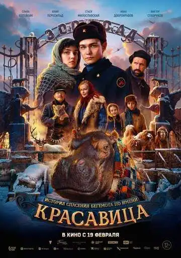 Постер фильма Красавица